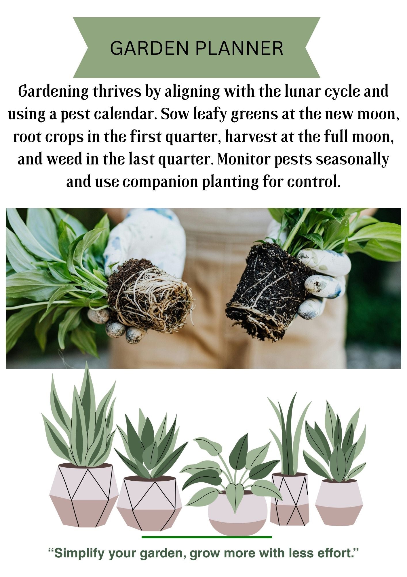 Beehaven Garden Planner